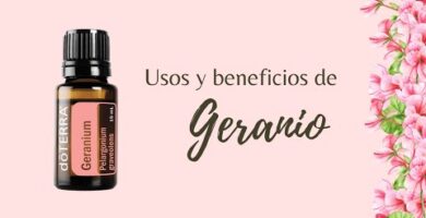 Beneficios del Aceite Esencial de Geranio en Aromaterapia