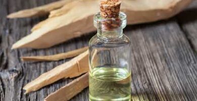 Descubre las propiedades del aceite esencial de sándalo para aromaterapia