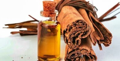 Descubre los beneficios del aceite de canela en aromaterapia