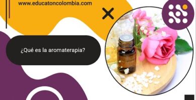Descubre los beneficios de la aromaterapia: cada aroma tiene su propósito