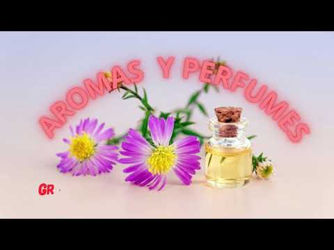 Descubre los mejores productos de aromaterapia